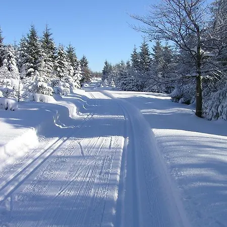 Rozcesti